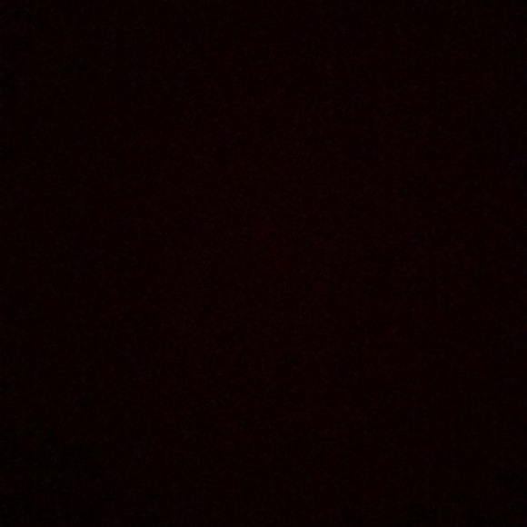 Meet your Posher, Ava - Picture 1 of 1